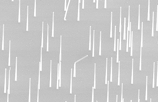 电子显微镜下的纳米线阵列