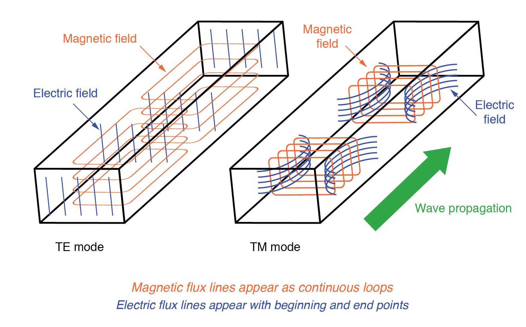 波导（TE）横向电气和（TM）横向磁性模式。